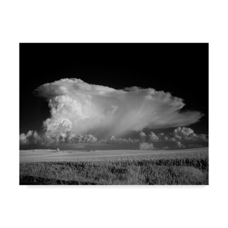 Trademark Fine Art J.D. Mcfarlan 'Thunderhead' Canvas Art, 18x24 ALI36778-C1824GG